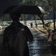 游过往张的个人资料头像