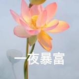亮仔57117头像