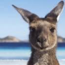 F的个人资料头像