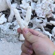 沐逸产品江湖的个人资料头像