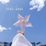 xiaorui97738头像