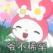 momomo_的个人资料头像