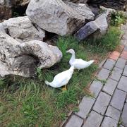 谭承宗的个人资料头像