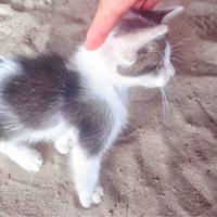 有意义就是好好的活着头像