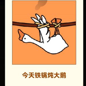 铁锅大鹅头像