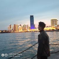 揽星河入梦besos头像