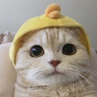 wwwwwwwwwwwwwwww5头像