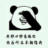 懒猪6750头像