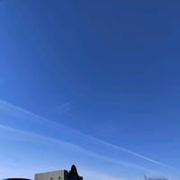 骑着蜗牛闯天涯头像