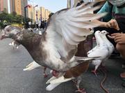 Dki的个人资料头像