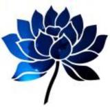 了无牵挂01头像