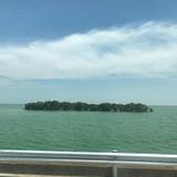 爱音乐凯希8D5头像