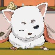 小朋的个人资料头像
