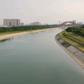 小马哥饲草头像