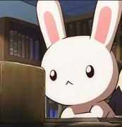 不懈奥义的个人资料头像