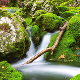 富足海洋VUI头像