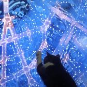 Paradiser的个人资料头像