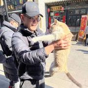 程序员翊然的个人资料头像