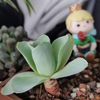 用户4001716709391头像