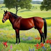 laoxutou的个人资料头像