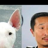 发废话会花话费头像