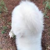 欢快星辰v2头像