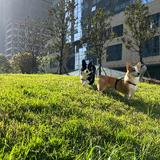 血染小腹肌头像