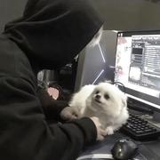 元名的个人资料头像