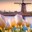 就是我72053的个人资料头像