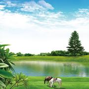 JustDream的个人资料头像