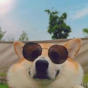 11929的个人资料头像