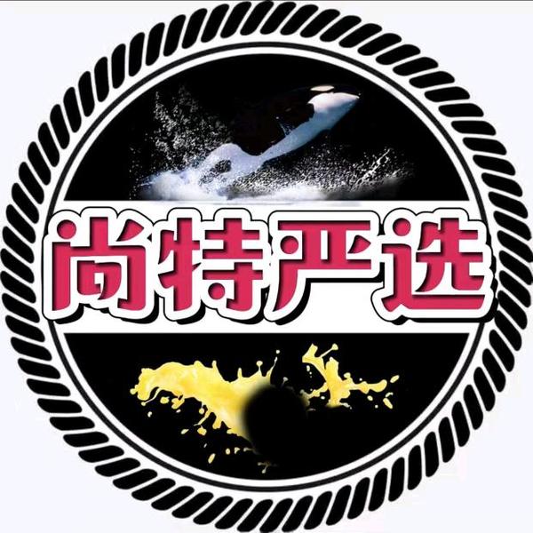 尚特车饰严选馆头像