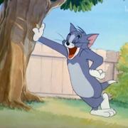 evelynnnnn的个人资料头像