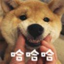 施天宇的个人资料头像