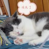 灵灵零头像