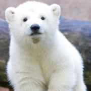 Http的个人资料头像