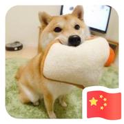 顾雨的个人资料头像