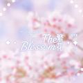 TheBlossom繁花头像