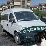 大通v80长轴中顶头像