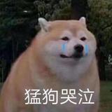 好多字的书头像