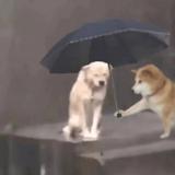 用户5029659472523头像