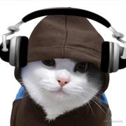 LookAtLL的个人资料头像