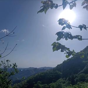 数学与计算机本一家头像