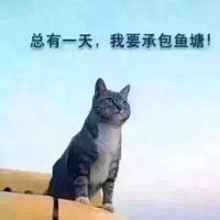 野孩子头像