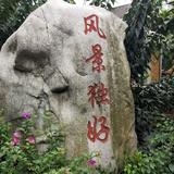 顺其自然8705765767378头像