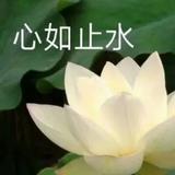 马曾踏足山巅头像