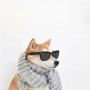 东海龙子敖粥的个人资料头像