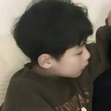 竹寺桦头像