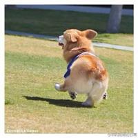 二糖逗先森920头像