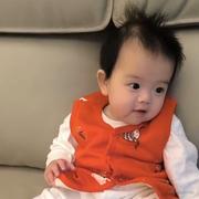 Wiggin的个人资料头像